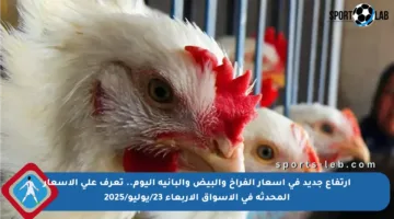 ارتفاع جديد في أسعار الفراخ والبيض والبانية اليوم.. تعرف على الأسعار المحدثة في الأسواق الأربعاء 23/يوليو/2025